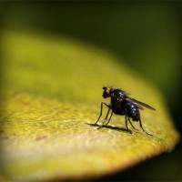 /album/xaritos/photolia-a07-jpg/